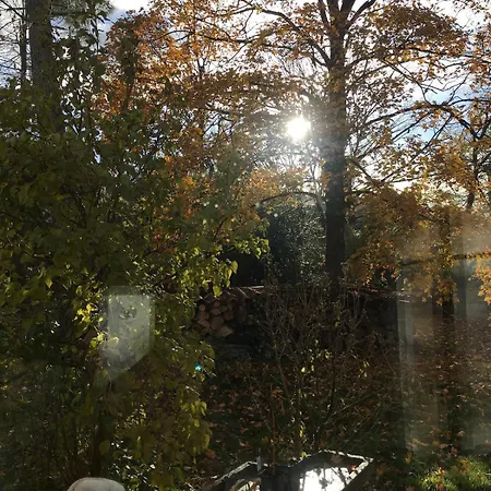Le Petit Bois De Clotilde Civrieux-d'Azergues