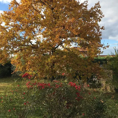 Le Petit Bois De Clotilde *