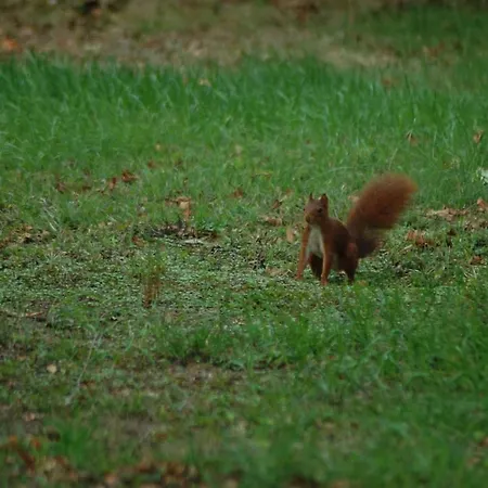 Le Petit Bois De Clotilde * Civrieux-dʼAzergues